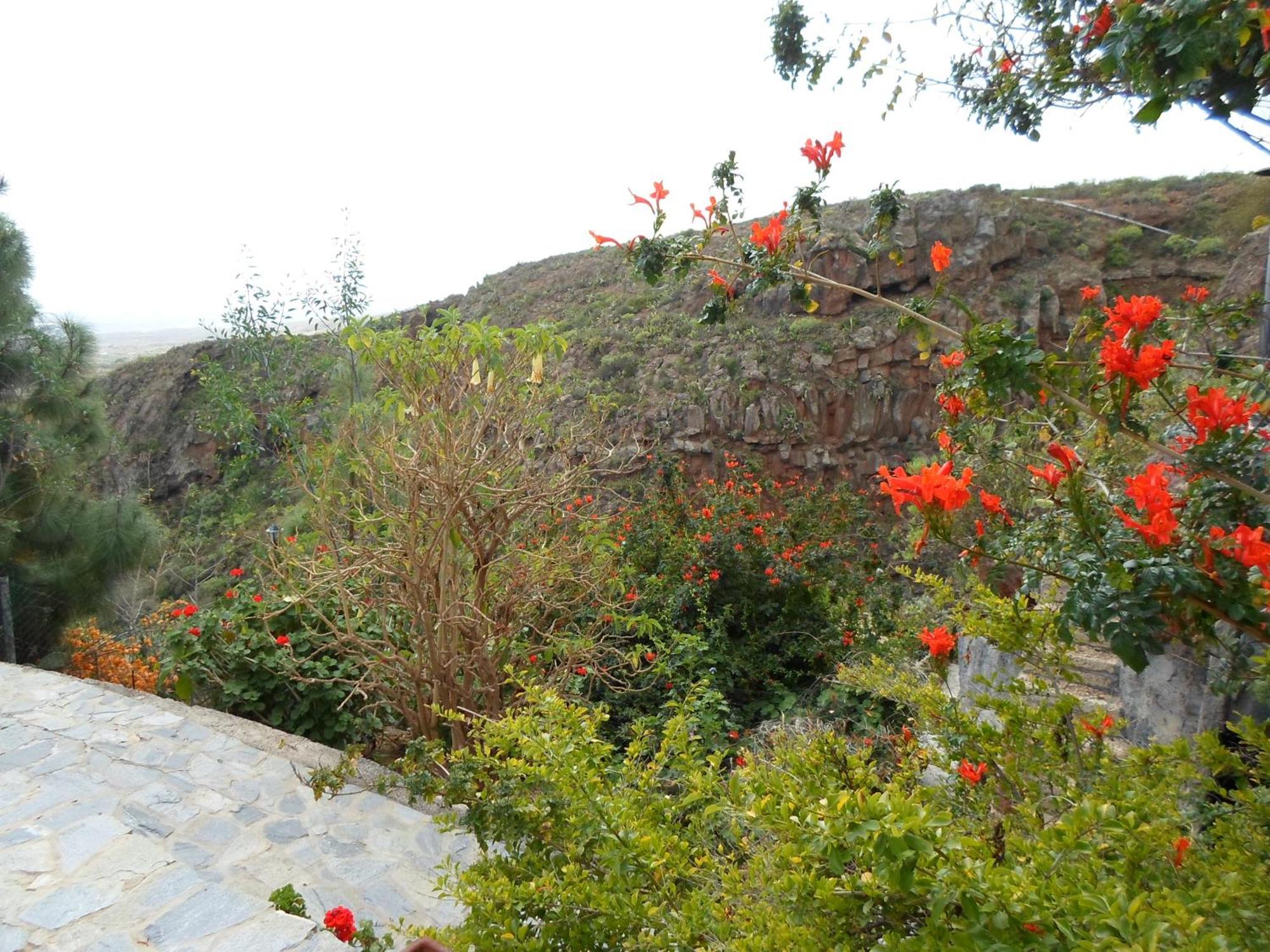 Finca Las Polinarias Casa Cueva En Fasnia Санта-Крус-де-Тенерифе Экстерьер фото
